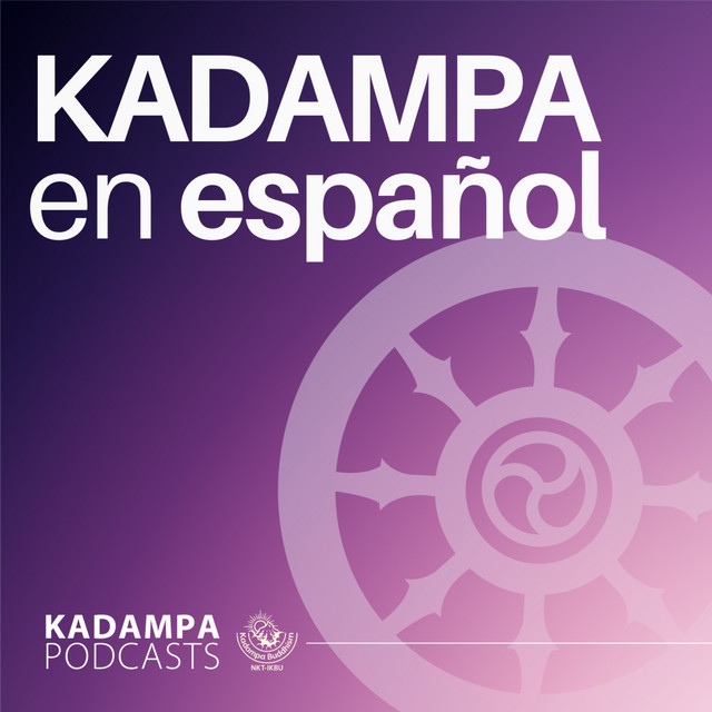 ab6765630000ba8a9d4ad4f2f90d72c1e6acac58