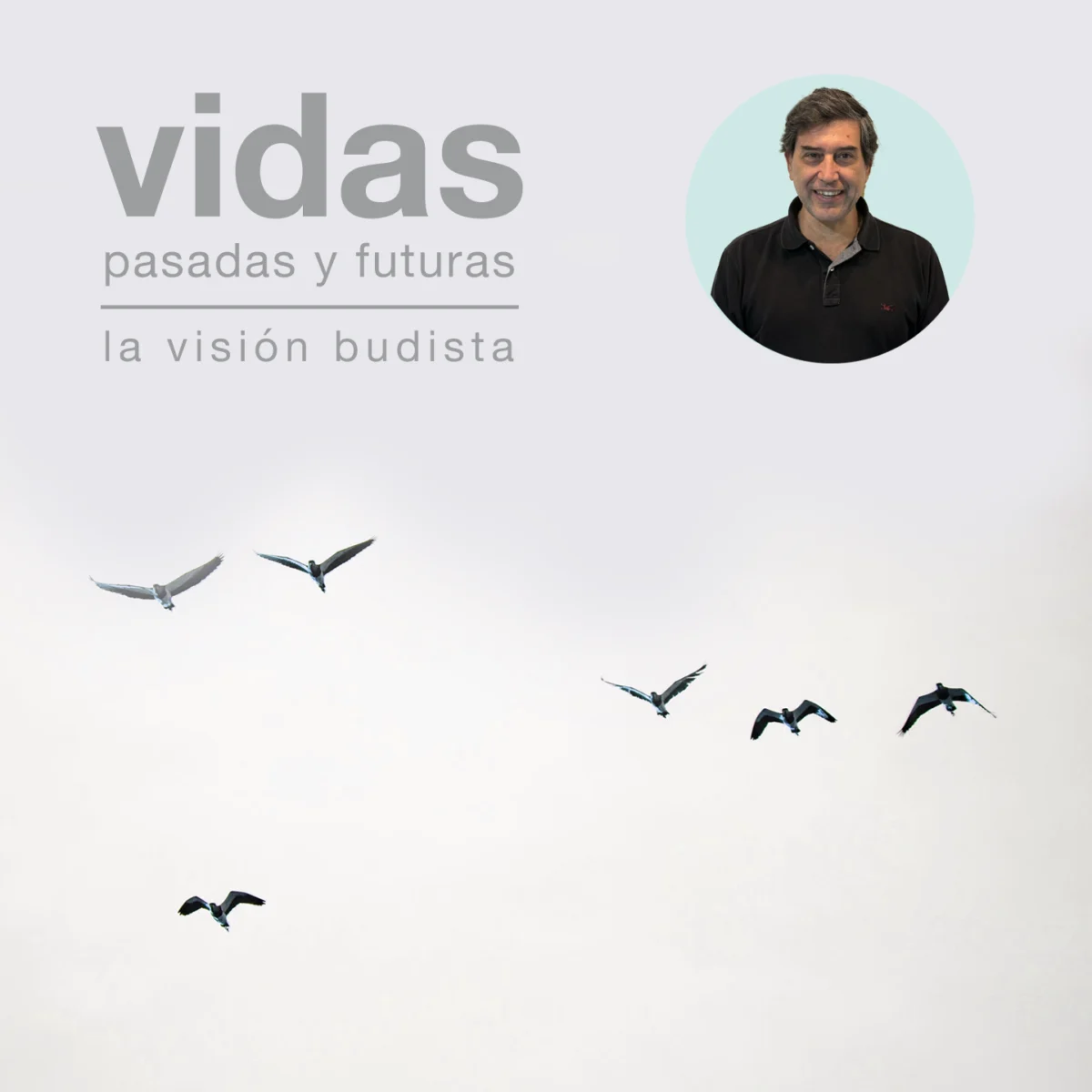 vidas_pasadas_futuras