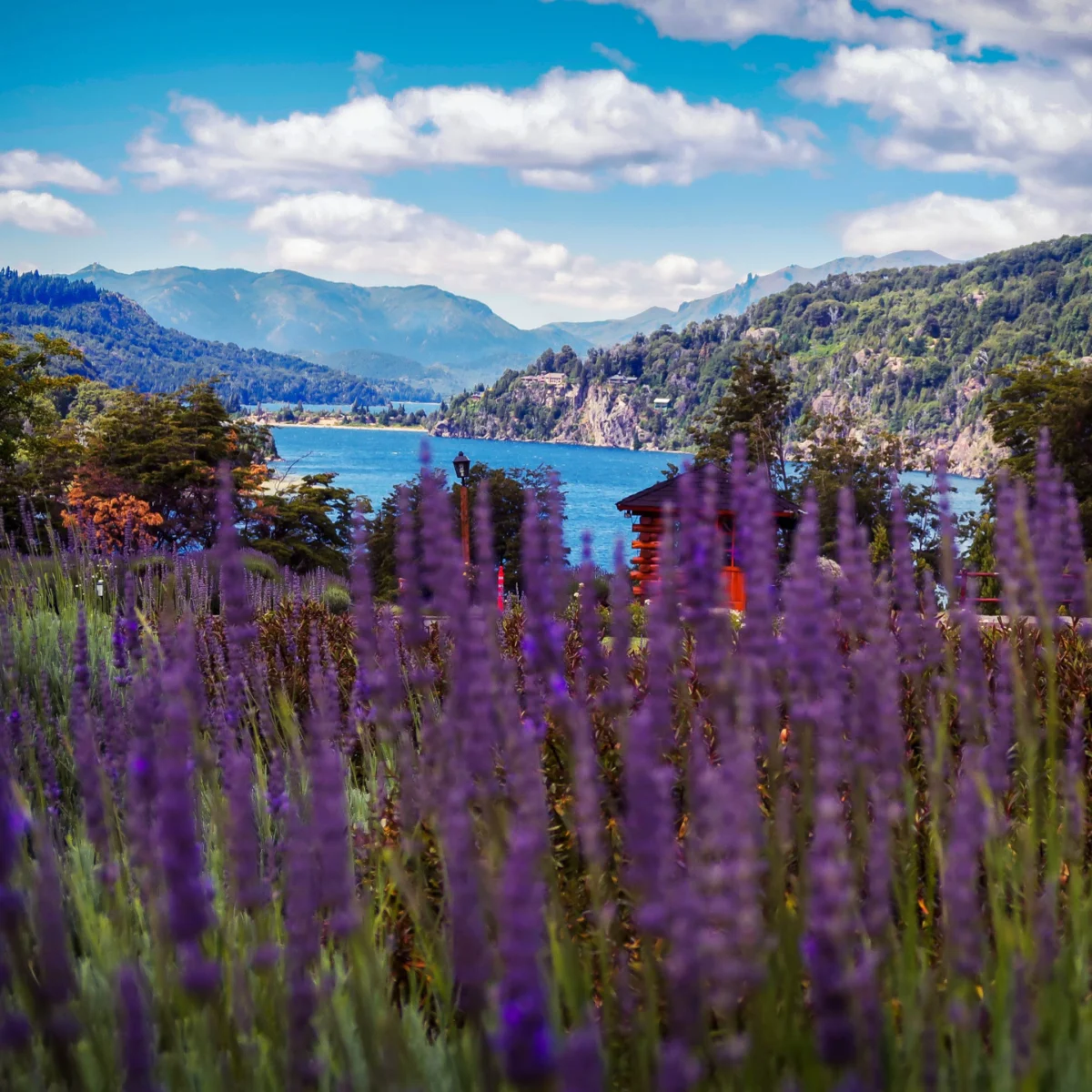 Bariloche_Sep