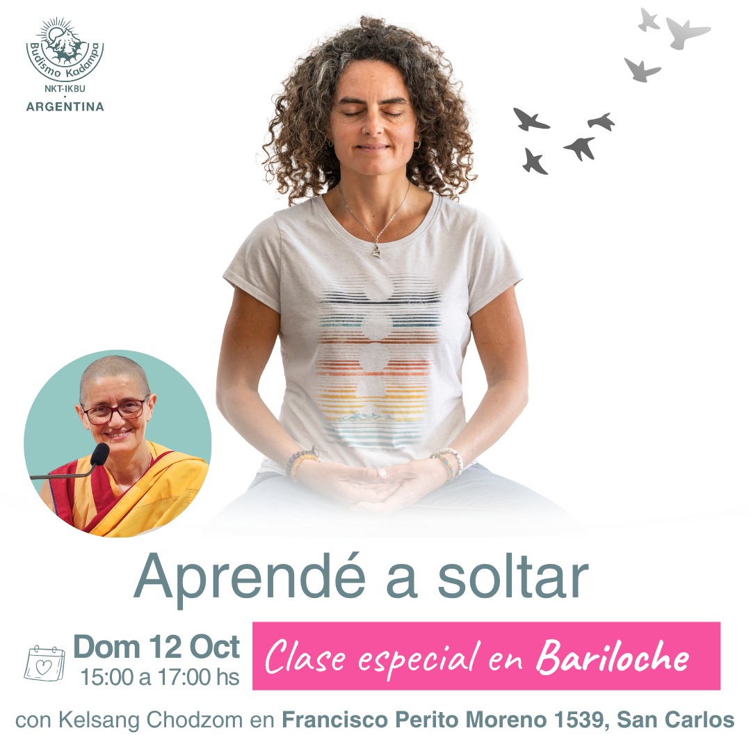 IMG-20251008-WA0011 IMG-20251008-WA0011