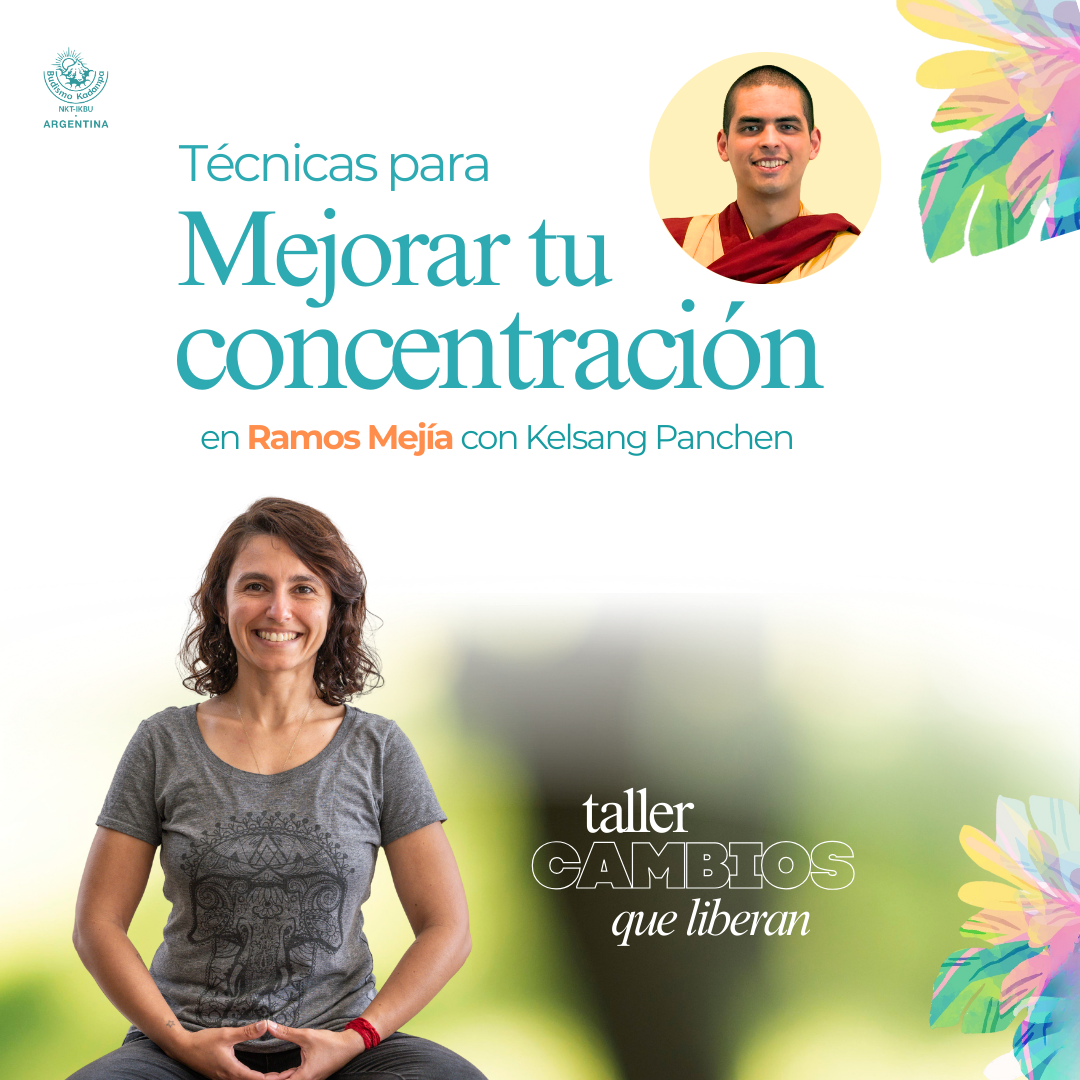 Gimeweb (2) Gimeweb (2)