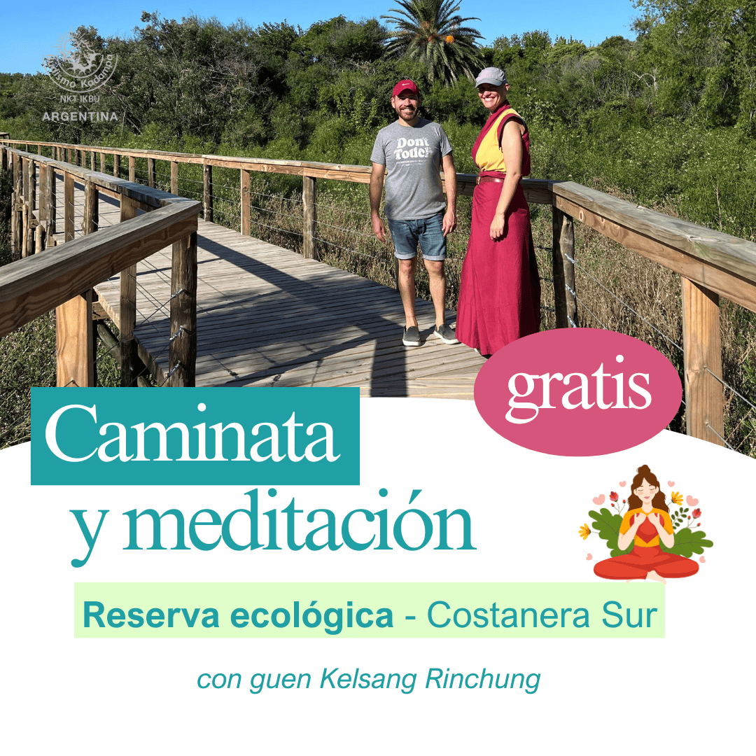 Gimeweb (2) Gimeweb (2)