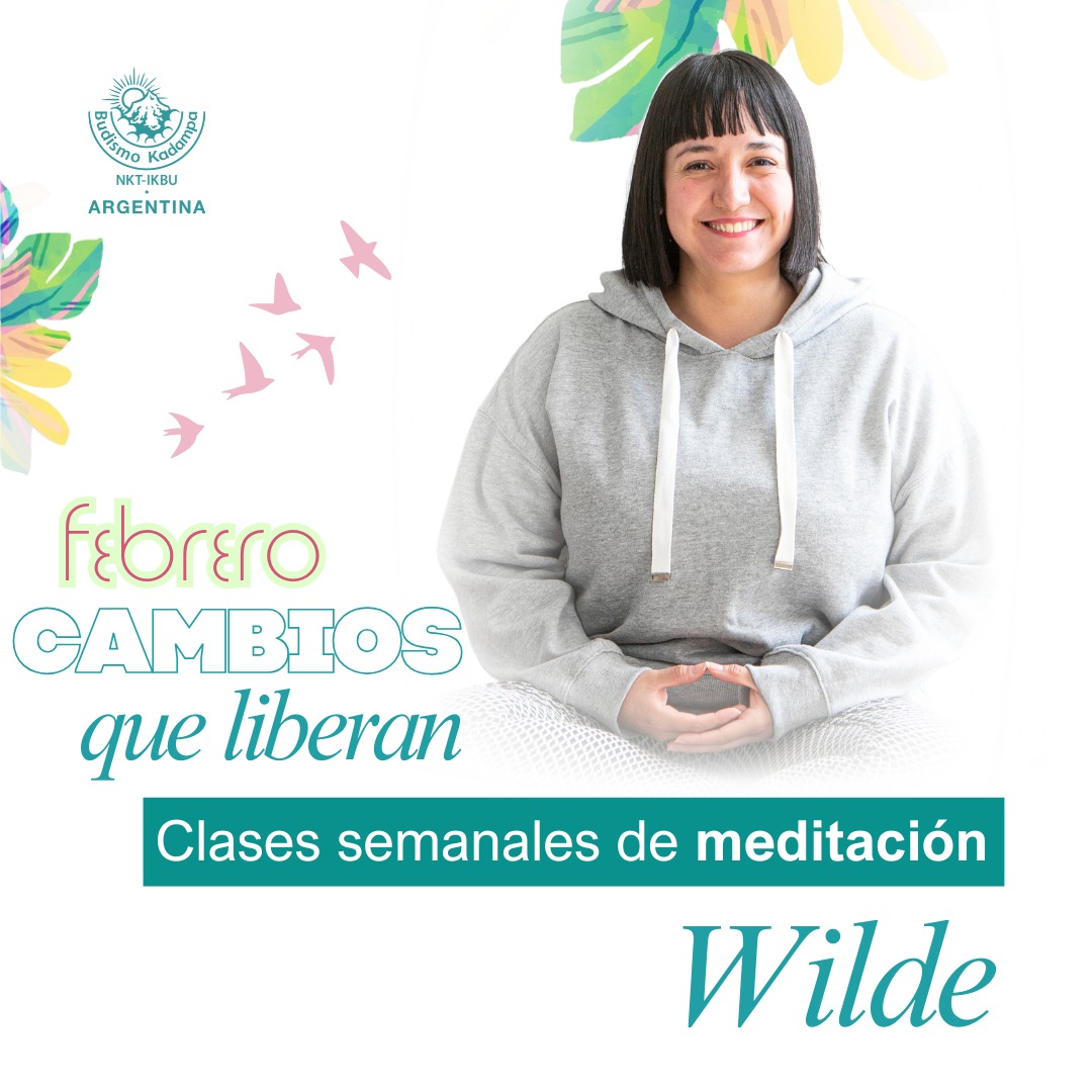 IMG-20260112-WA0009 IMG-20260112-WA0009