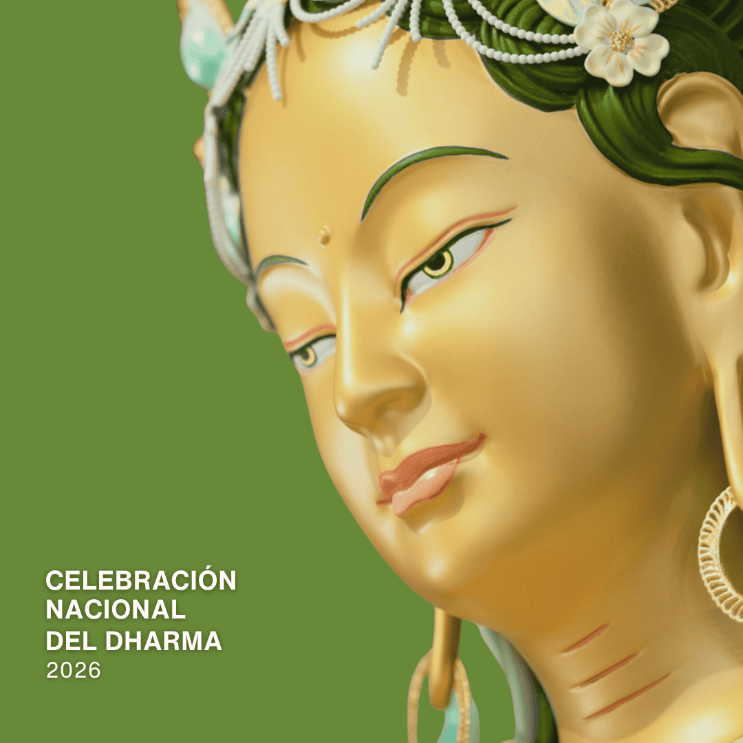 2026 CND TARA VERDE (Post de Instagram) (2) (1)