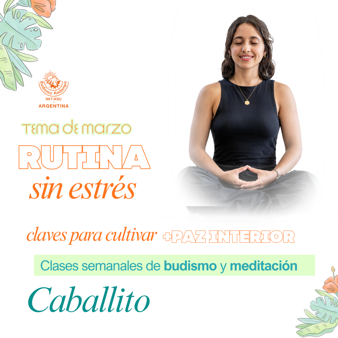 Gimeweb (11) Gimeweb (11)