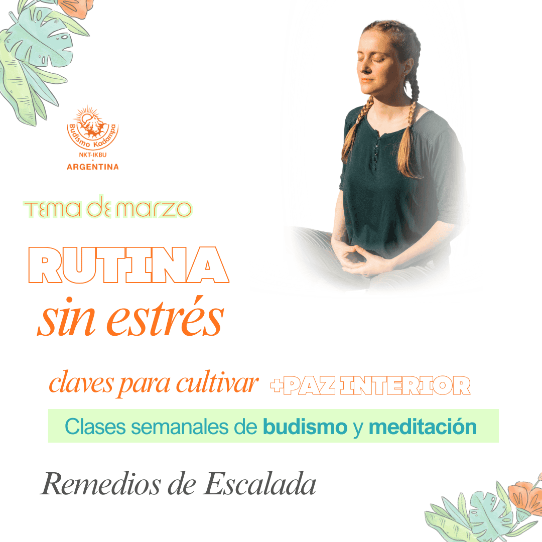 Gimeweb (13) (1) Gimeweb (13) (1)