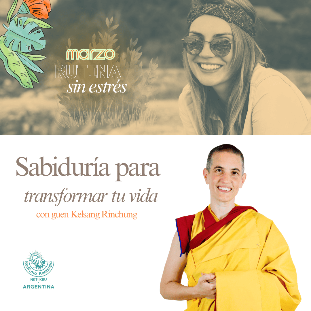 Gimeweb (14) (1) Gimeweb (14) (1)