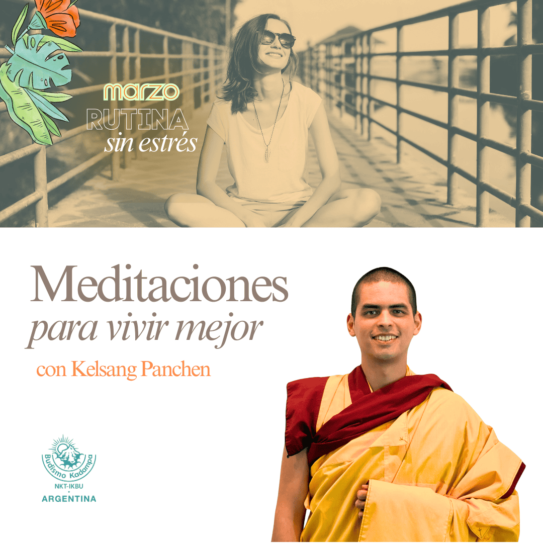 Gimeweb (16) (1) Gimeweb (16) (1)