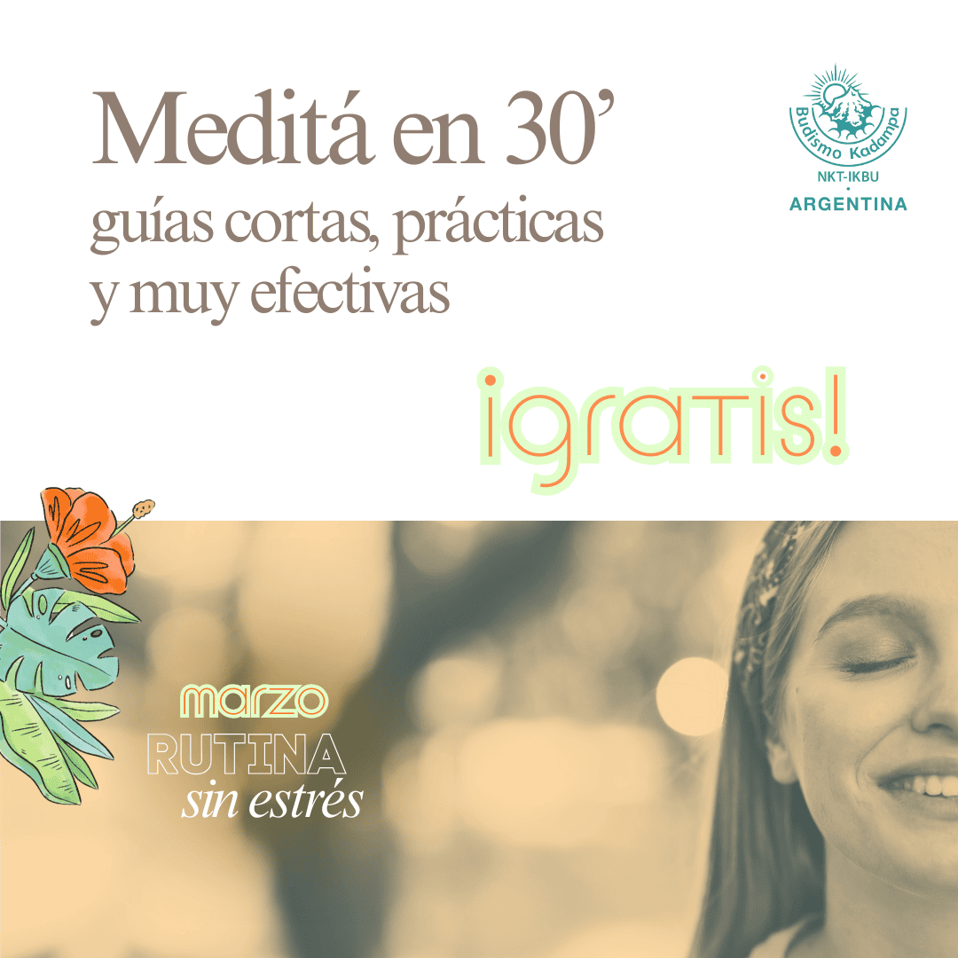 Gimeweb (17) (1) Gimeweb (17) (1)