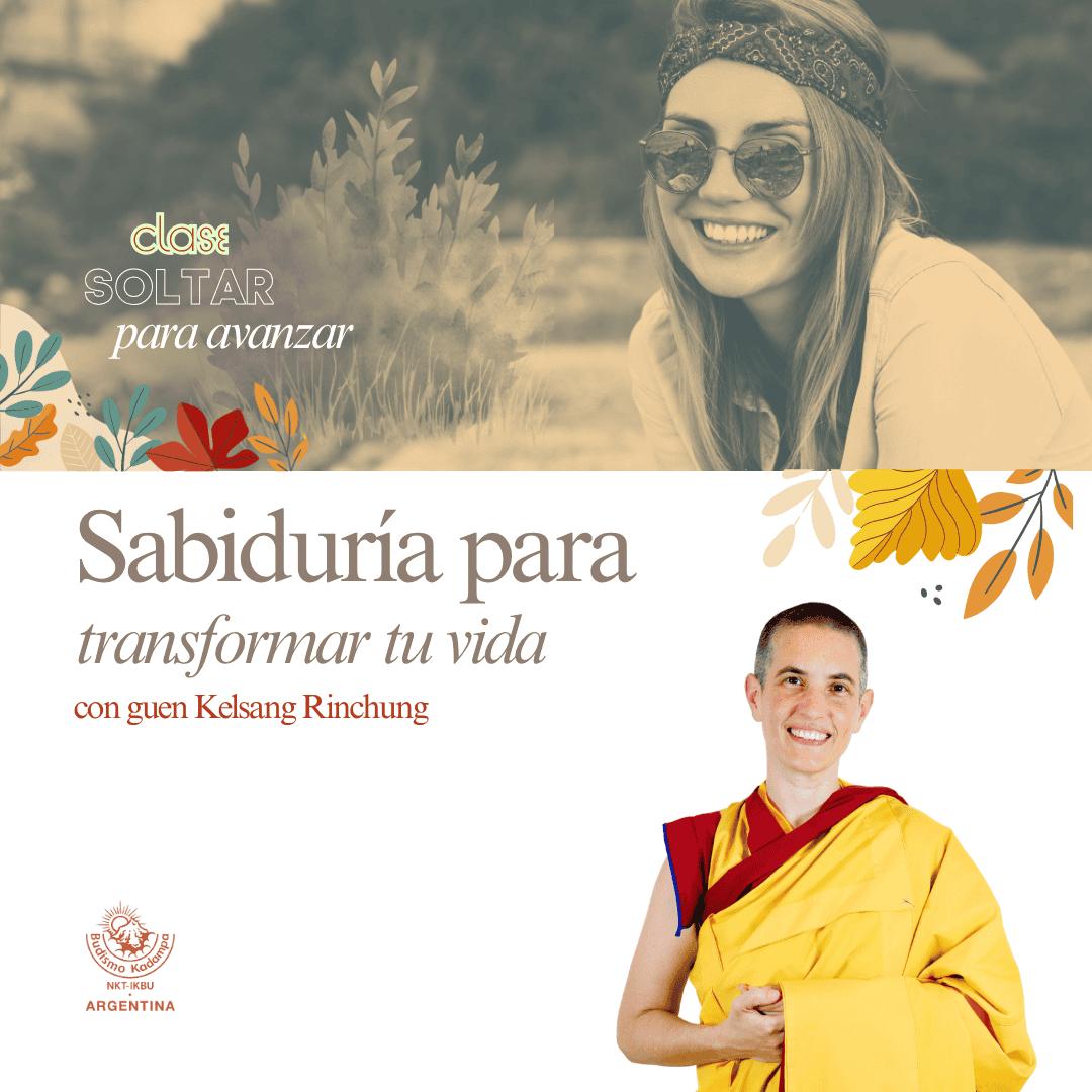 Gimeweb (16) (1) Gimeweb (16) (1)