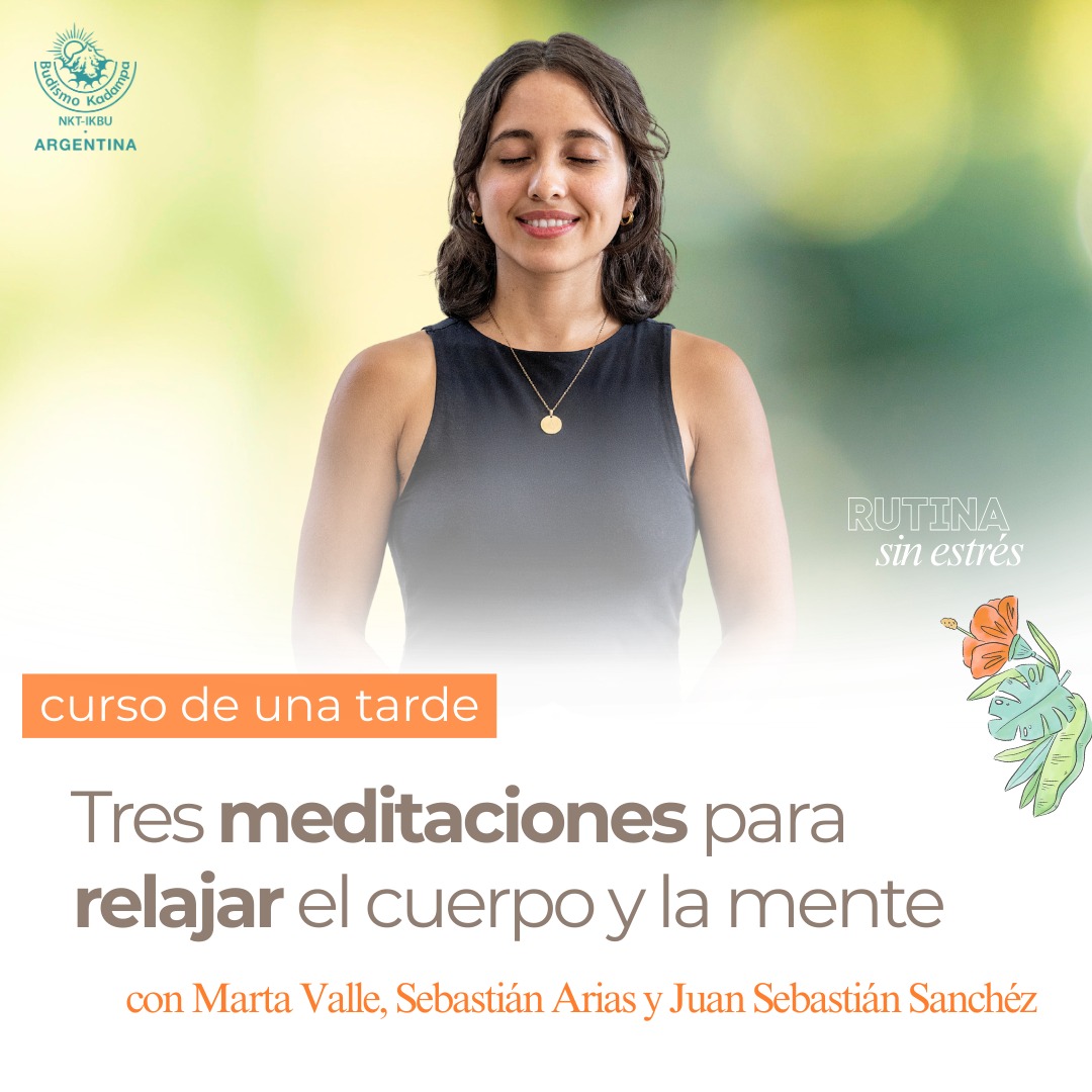 IMG-20260301-WA0000 IMG-20260301-WA0000