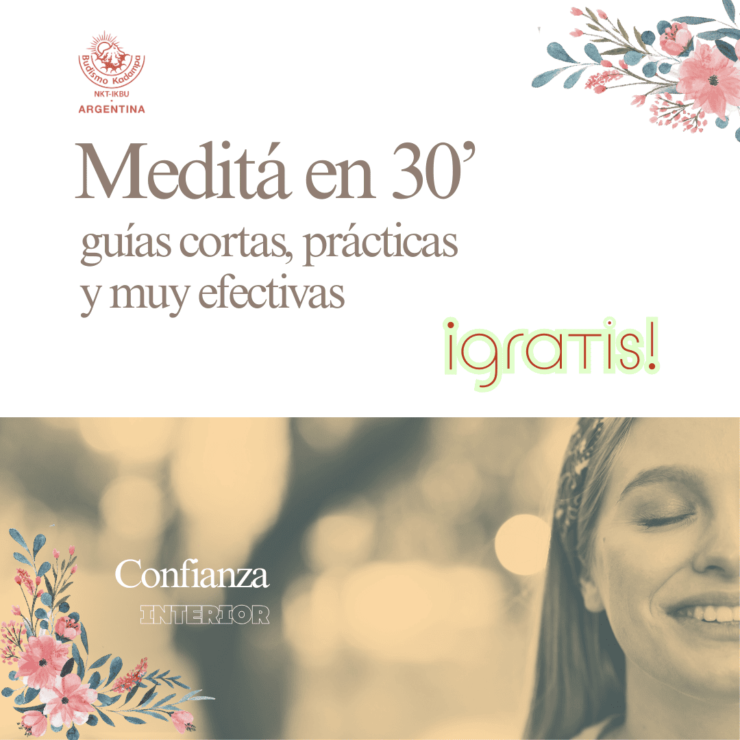Gimeweb (3) (2) Gimeweb (3) (2)