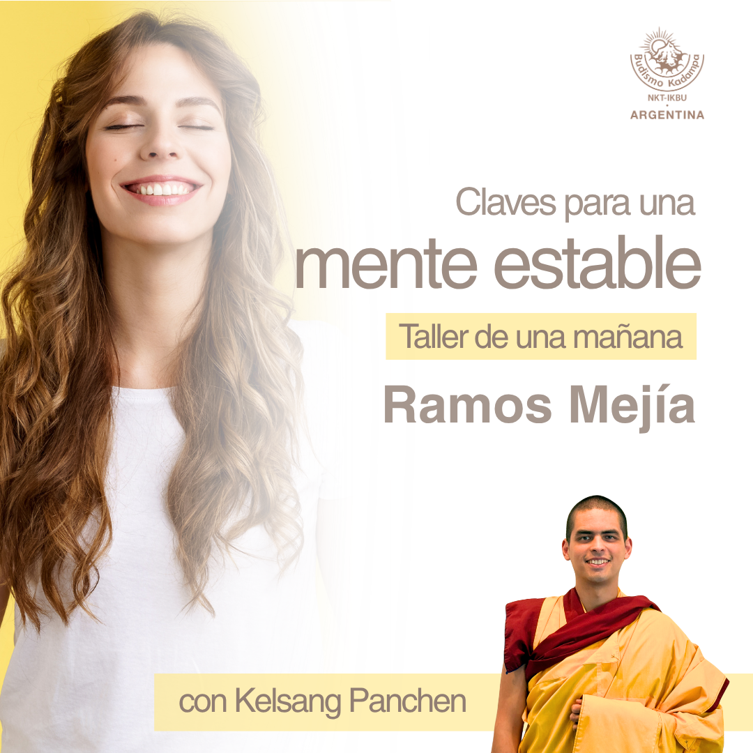 Mayo WEB (6)