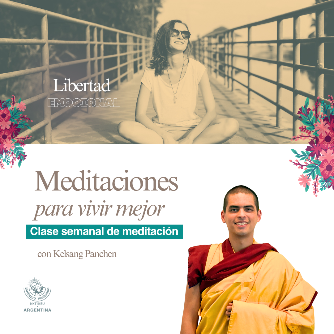 Gimeweb (10)
