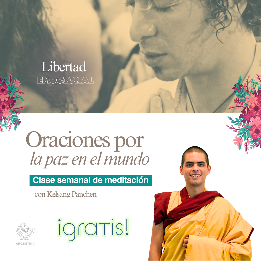 Gimeweb (12)
