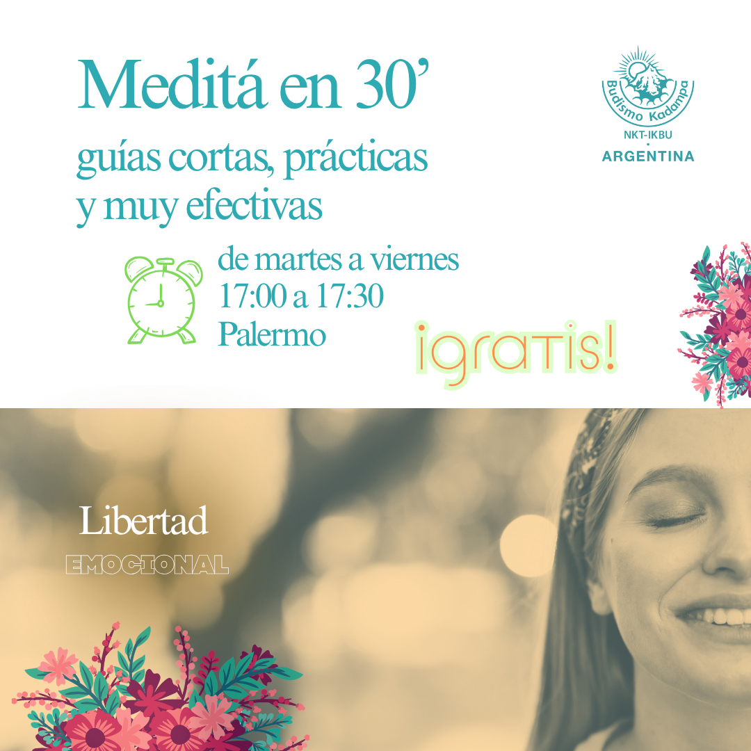 Gimeweb (13)