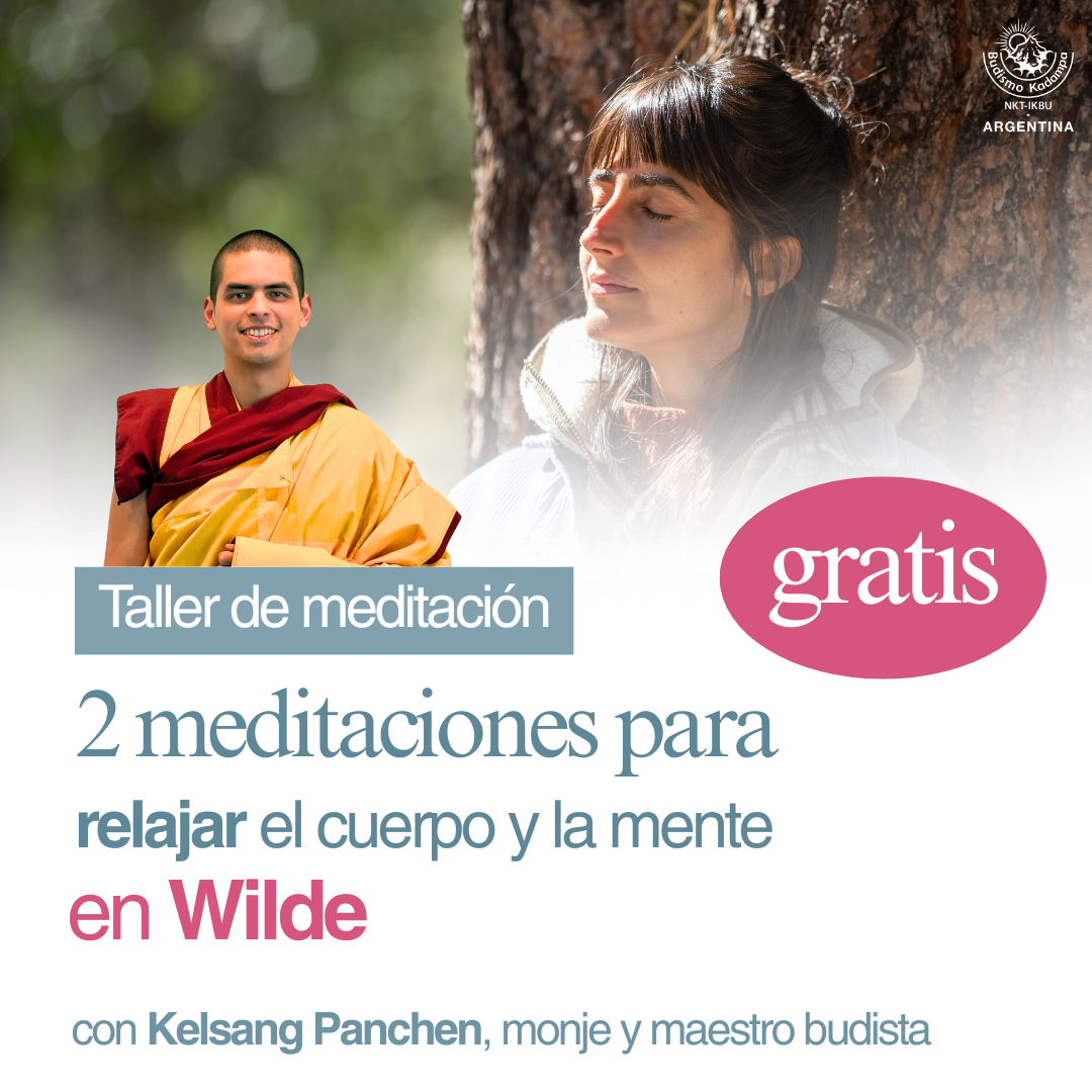 Gimeweb (4)