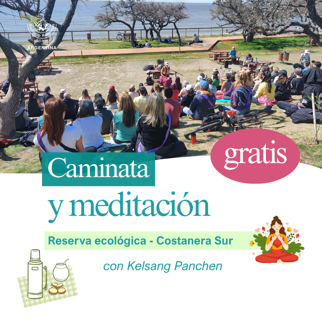 Gimeweb (7) Gimeweb (7)