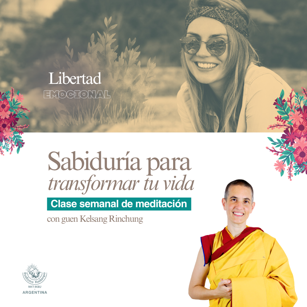 Gimeweb (8)