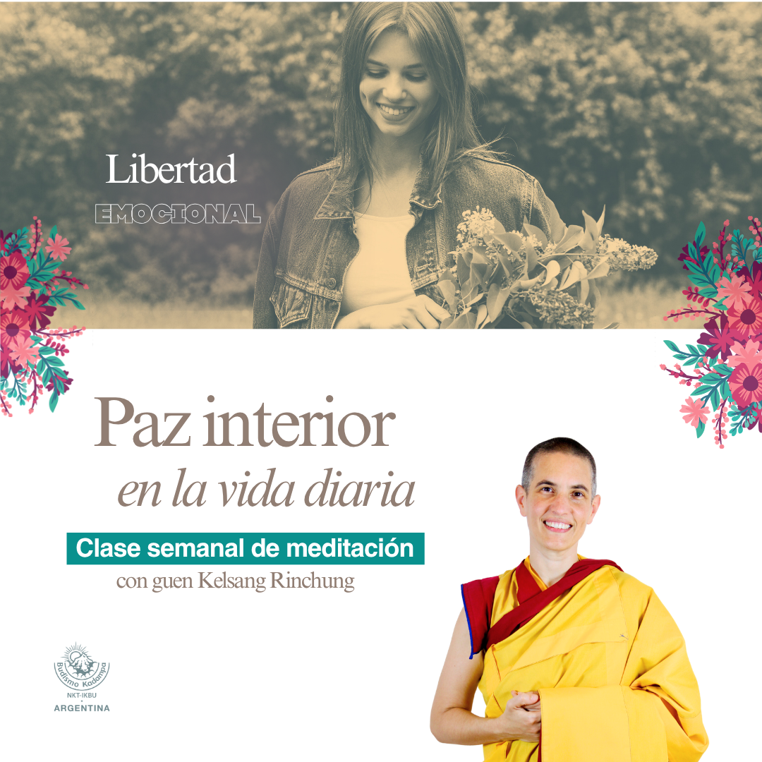 Gimeweb (9)
