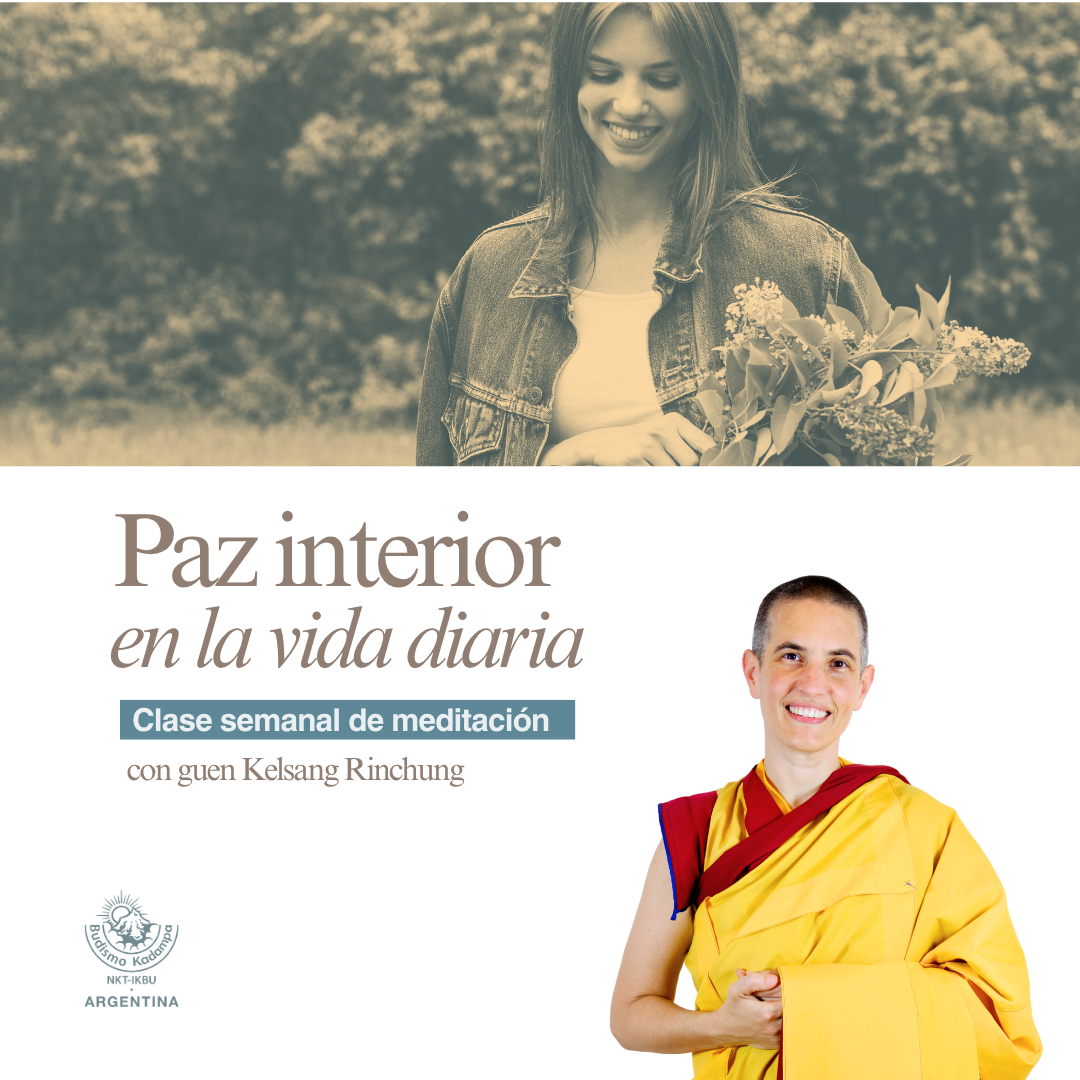 Gimeweb (22) Gimeweb (22)