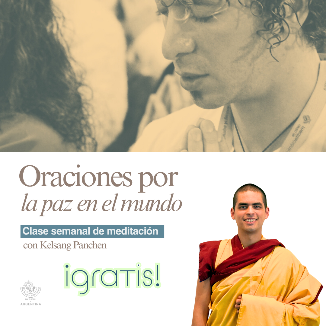 Gimeweb (24)