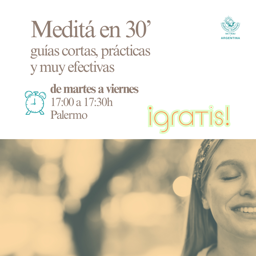 Gimeweb (25)