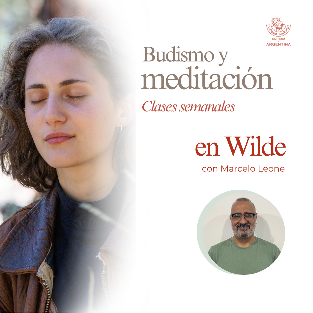 Gimeweb (29) Gimeweb (29)